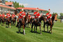 Soldiers of Mounted Troop conducting a march past of the dias during the the Queen Elizabeth II Cup held at Spruce Meadows.