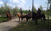 The afternoon riders prepare for their ride to downtown Edmonton with the organizer of CVF, Paul Nichols.