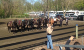 Photo taken by Sgt Krulak – A demonstration of their version of a musical ride. Not bad at all!