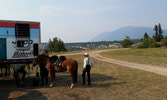 Photo by Cpl Chris Lawrence - Checking out the horses while Capt Andrew “I hate sitting on the sidelines” Tardiff prepares for the Musical Ride.