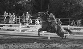 Sgt Paul Kruhlak showing off his tent-pegging skills before the crowd.